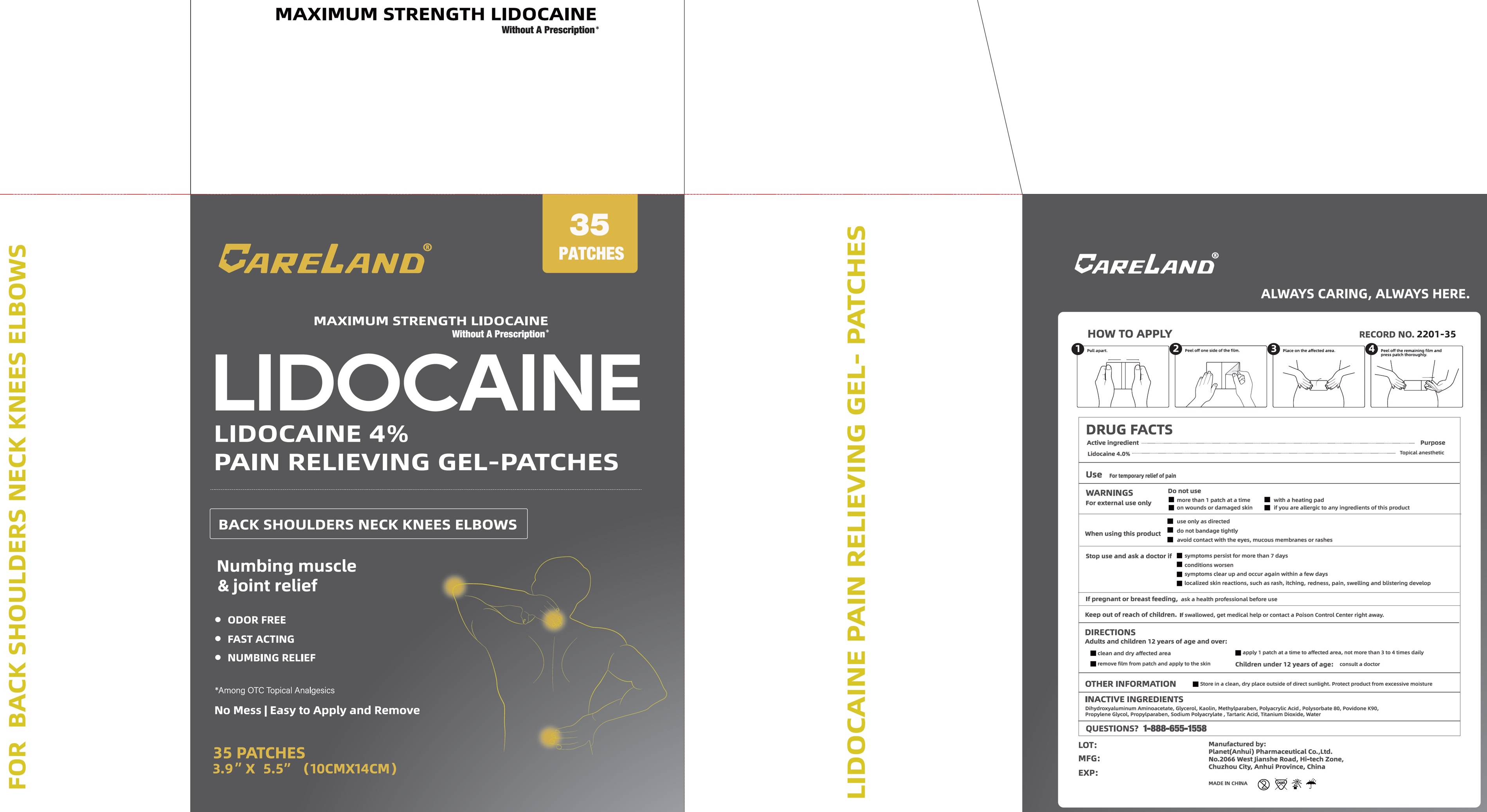CARELAND — CARELAND 4% Lidocaine Patches 36 Count Pain Relief Patches Maximum Strength, for Neck Knee Joint Pain Nerve Shoulder Pain Relief